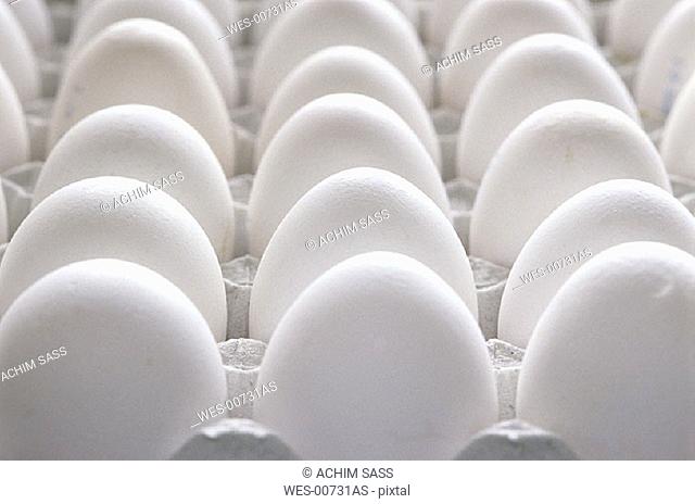 Tray of eggs, close up