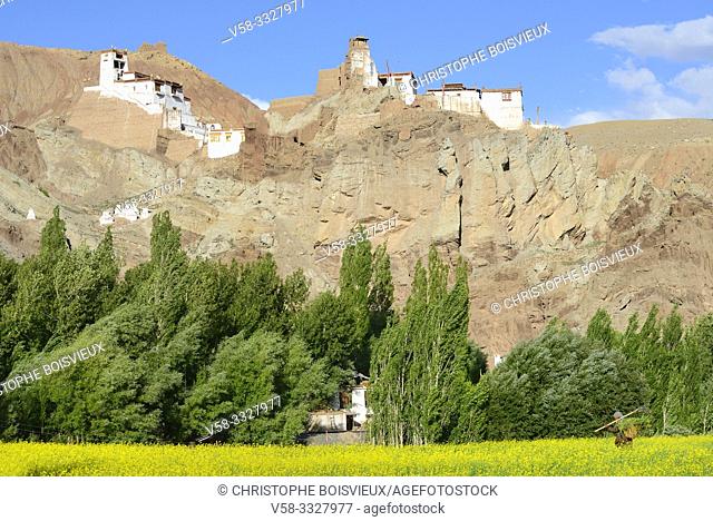India, Jammu & Kashmir, Ladakh, Basgo, The ruined citadel and monastery