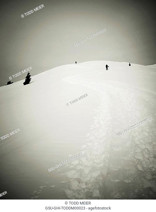 skiers, snow, sepia
