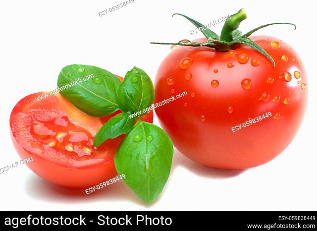 Tomatos and basil with drops of water isolated against white
