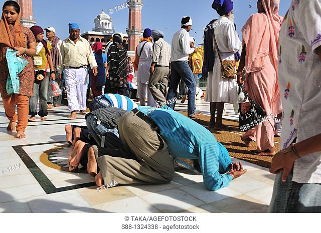 Sikh pilgrims praying for the God in Golden Temple, Punjab Amritsar India