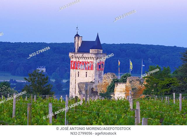 Chinon, Castle, Château de Chinon, Chinon Castle at Dawn, Indre-et-Loire, Pays de la Loire, Loire Valley, UNESCO World Heritage Site, France