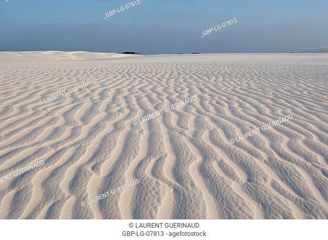 Oasis, dunes, Lençóis Maranhense, Lacs Maranhão, Lençois, Barreirinhas, Maranhão, Brazil
