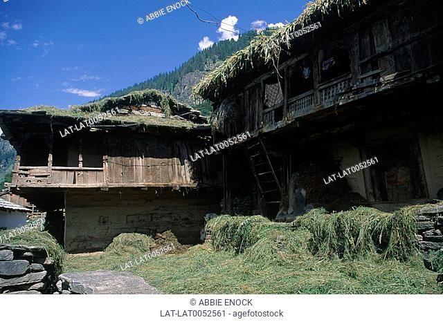 Wooden house covered in grass at haymaking time in Vashist in Kulu Valley