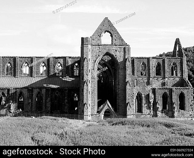 Tintern Abbey (Abaty Tyndyrn in Welsh) ruins in Tintern, UK in black and white