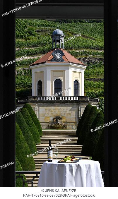 A bottle of whie wine, a glass with white wine and a cheese platter pictured at the Schloss Wackerbarth vineyards in front of the Belvedere chateau in Radebeul