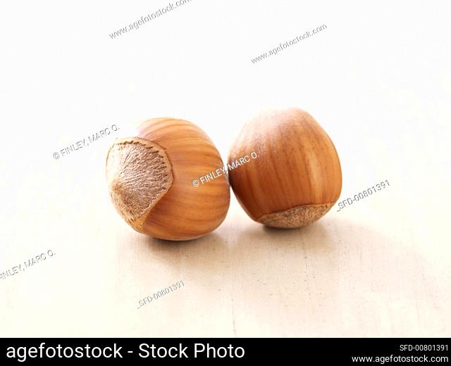 Two hazelnuts