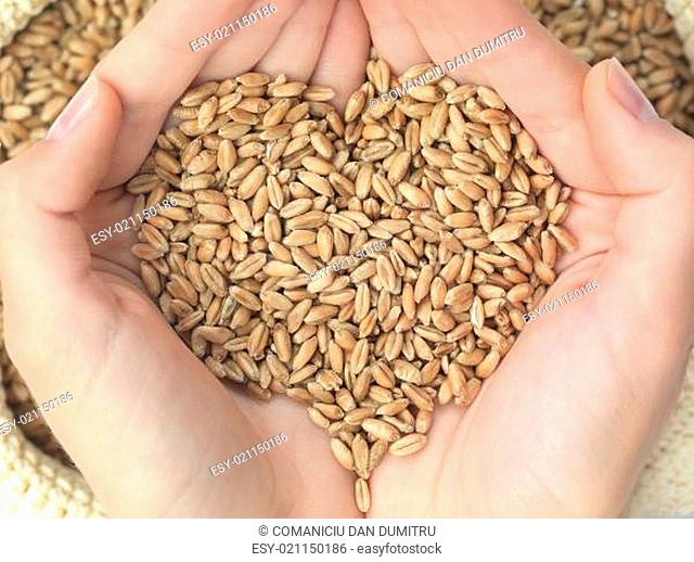 wheat heart