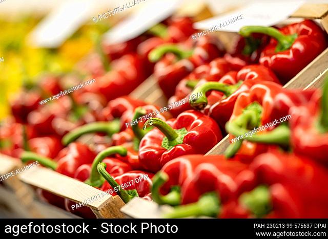 08 February 2023, Berlin: Red bell pepper is exhibited at Fruit Logistica. Fruit Logistica is an International Trade Fair for Fruit and Vegetable Marketing