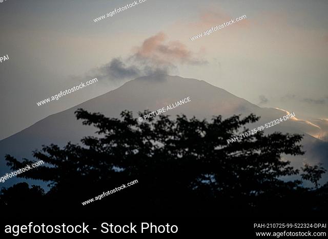 25 July 2021, Japan, Oyama: A tree stands in front of Mount Fuji. The 2020 Tokyo Olympics will take place from 23.07.2021 to 08.08.2021