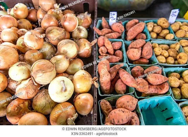 Onions (Allium cepa), sweet potatoes (Ipomoea batatas), and potatoes (Solanum tuberosum) at a farmers market in Baltimore, MD