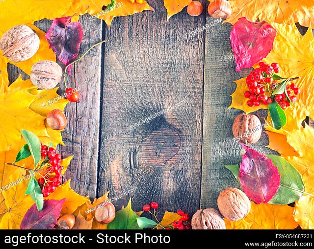 autumn harvest on wooden background, autumn background
