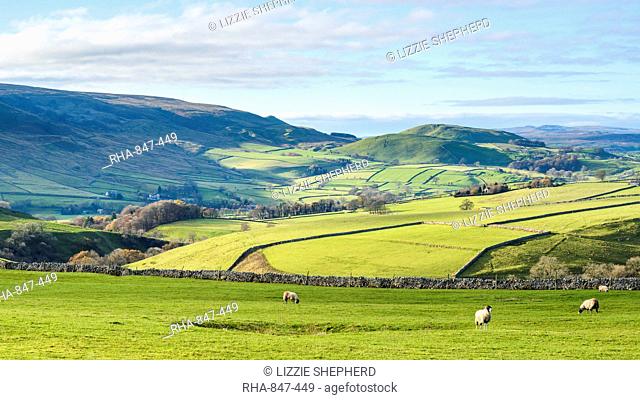 View towards Elbolton, Kail Hill and Stebden Hill from Appletreewick Pastures in autumn, North Yorkshire, Yorkshire, England, United Kingdom, Europe