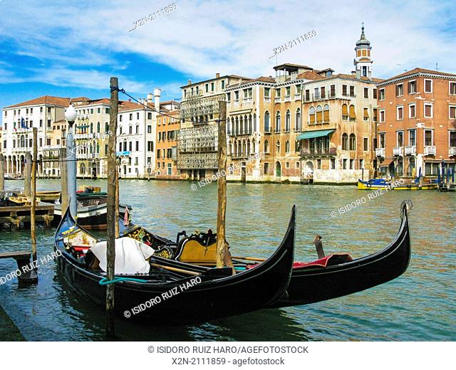 Gondole. Venice. Veneto. Italy