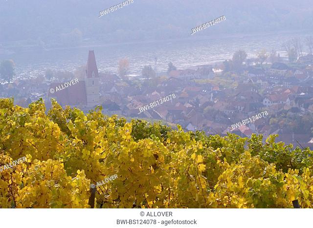 Wachau, Austria, Lower Austria, Wachau, Weissenkirchen
