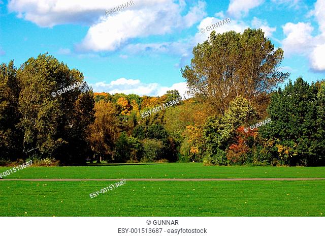 forest and garden under blue sky at fall