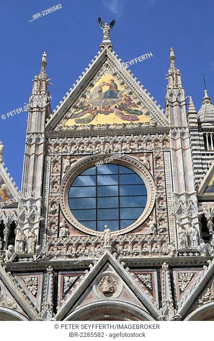 Main facade by Giovanni Pisano, Siena Cathedral, Cathedral of Santa Maria Assunta, Siena, Tuscany, Italy, Europe