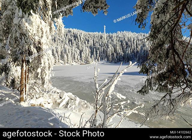mummelsee in winter, black forest, baden-wuerttemberg, germany