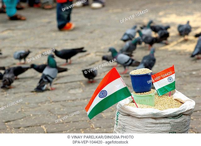 Indian flag on a sack of bird pigeon feed ; millets and grains ; at Gateway of India on Independence day at Gateway of India ; Bombay Mumbai ; Maharastra ;...