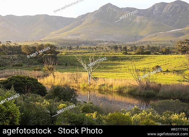 View across a tranquil landscape, river valley and a mountain range