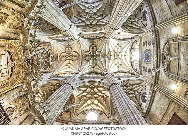 New Cathedral of Salamanca, Salamanca City, Spain, Europe