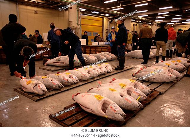 Tsukiji Fish Market, Ginza, Tokyo, Japan, Asia, world's biggest seafood market, Kanto, Fish, seafood, Sushi, tuna, Tuna-Auction, Edo period, frozen tuna