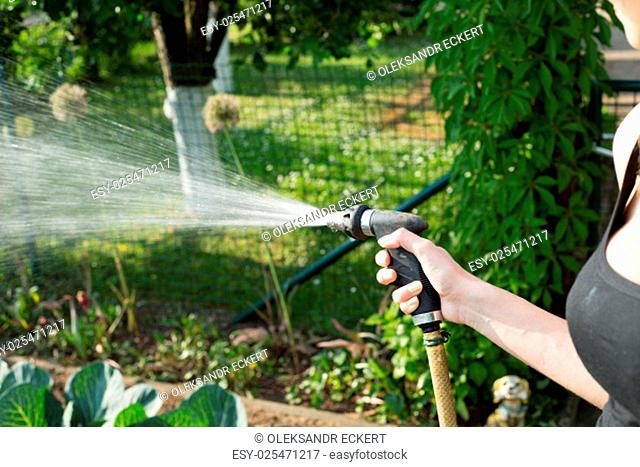 A woman's hand with water hose pours a green garden
