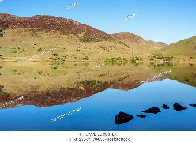 View of mountains reflected in lake, Crummock Water, Lake District N.P., Cumbria, England, June
