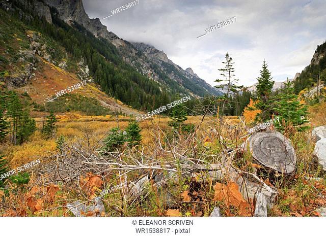Cascade Canyon in autumn (fall), Grand Teton National Park, Wyoming, United States of America, North America
