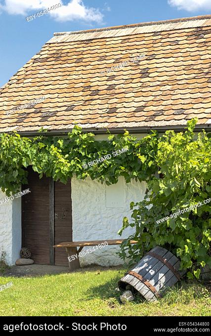 wine cellar, Staatz, Mistelbach District, Lower Austria, Austria
