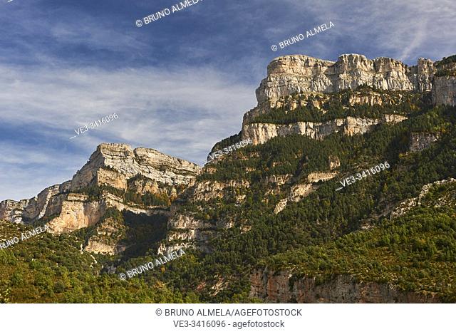 Pyrenean forest and mountains in Añisclo Canyon, Ordesa and Monte Perdido National Park, Huesca province, Aragon (Spain)