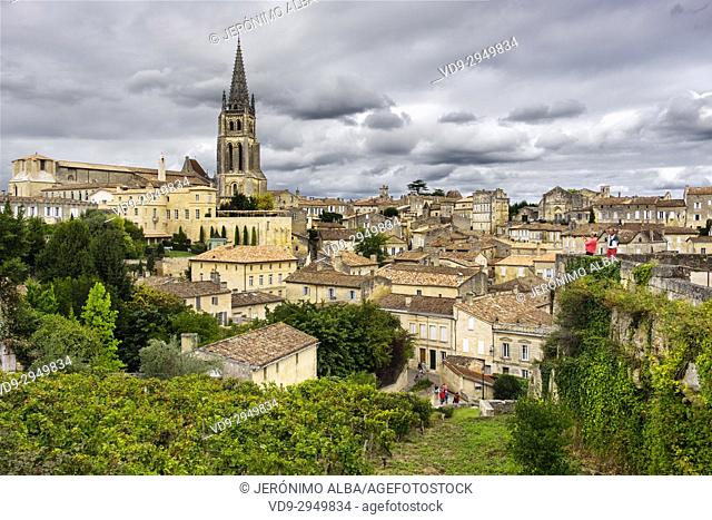 Panoramic view & vineyards, Saint-Emilion Bordeaux wine region. Aquitaine Region, Gironde Department. France Europe
