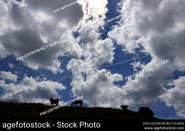 09 July 2022, Bavaria, Blaichach: Two horses grazing at the Mittelbergalpe in the Gunzesried valley under partly cloudy sky