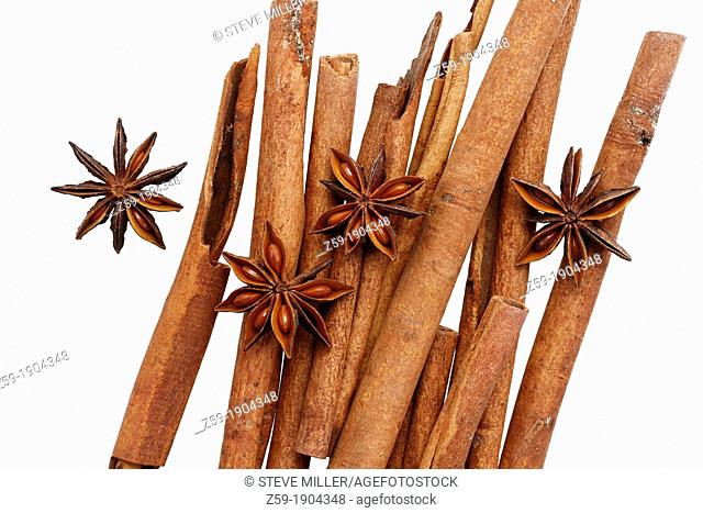 clip image - fruits of star anise - Illicium verum - bundle of cinnamon sticks - Cinnamomum cassia