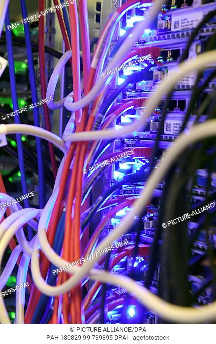 14.08.2018, Baden-Württemberg, Karlsruhe: Cables run to computers in a server room in a data center of Internet service provider 1&1 in Karlsruhe