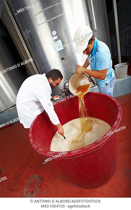 Agronomist and his assistant prepare a solution with water and yeast to be injected into a large tank containing wine