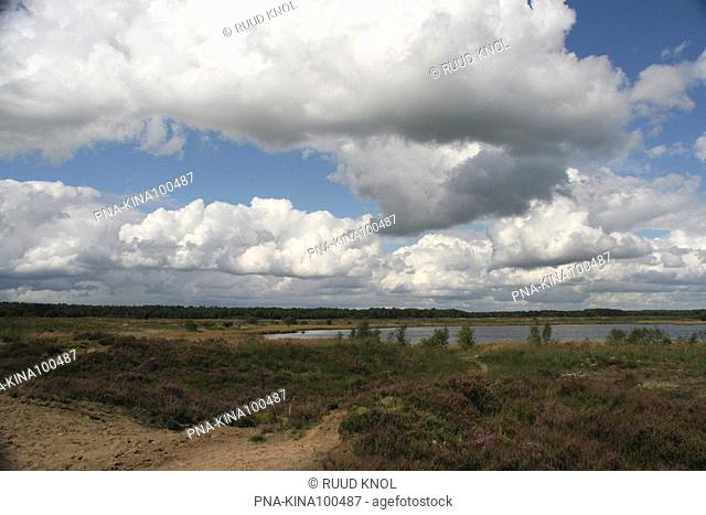 National Park Dwingelderveld, Dwingelose Heide, Dwingeloo, Drenthe, The Netherlands, Holland, Europe