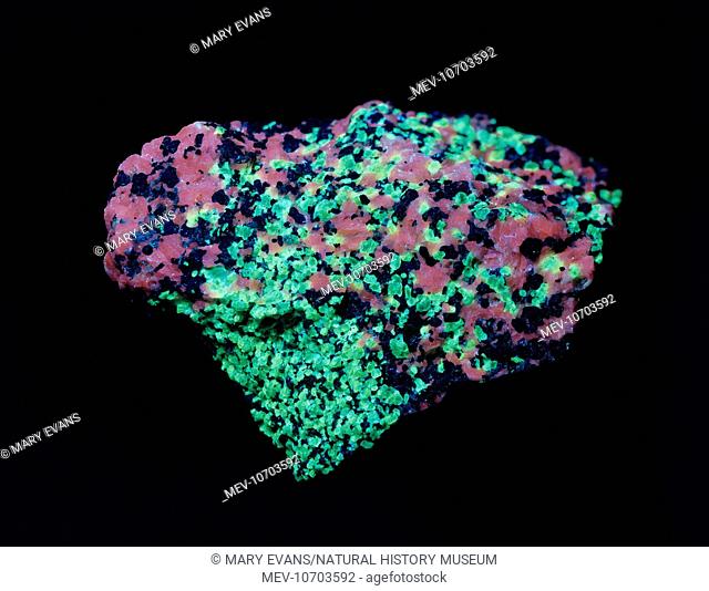 Ore of zinc fluorescing under ultra violet radiation: calcite - pink; willemite - green; zincite - blue; franklinite - black