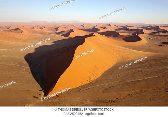 Sand dunes in the Namib Desert. The trees at the bottom of the dune are Camelthorn trees (Acacia erioloba). In the evening. Aerial view