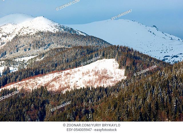 Sunrise morning winter snow covered scenery picturesque alp mountain ridge (Ukraine, Carpathian Mountains, Chornohora Range