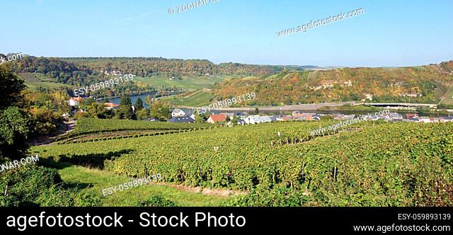 Moselle valley close to Machtum, Luxembourg, Europe