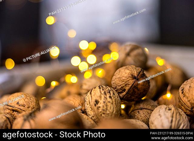 16 December 2023, Brandenburg, Leuthen: Walnuts on a stall at a small Advent market. Advent and Christmas markets are also held in many German cities on the...