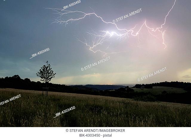 Thunderstorm with multiple thunderbolts, near Lahr in the Black Forest, Baden-Württemberg, Germany