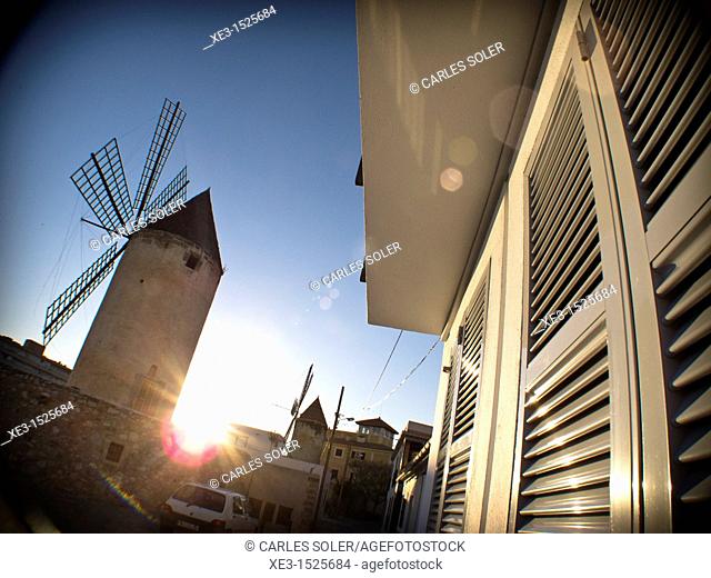 Majorcan windmill at sunset