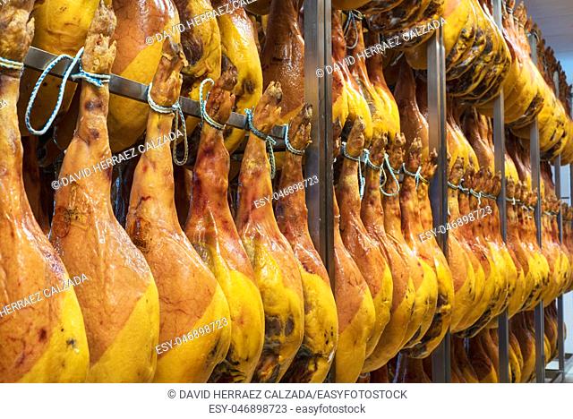 Spanish ham Jamon serrano cellar. Food industry