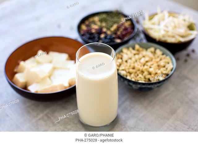 Soybean sprouts, soja beans and soya protein chunks and soja milk glass