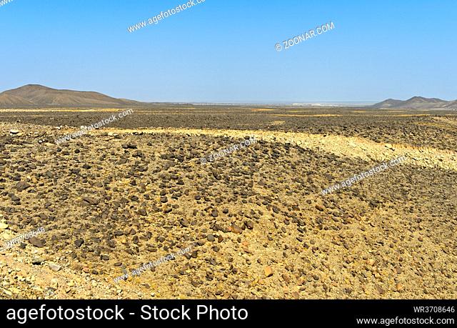 Blick über die aride, mit Steinen übersäte Ebene der Danakil-Senke unter dem Meeresspiegel, Afar Region, Äthiopien / View across the arid