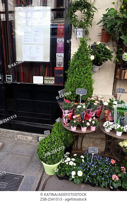 Flower shop on Rue Saint-Louis en L'ile, Ile Saint-Louis, Paris, France