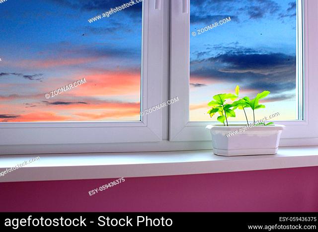 young plants of oaks on the window-sill of balkony and view to the evening sky. landscape with sunset seen from window