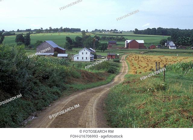 Ohio, Holmes county, amish, farm, A Amish farm with a red barn down a winding dirt road in Holmes County. A golden wheat field is being harvested